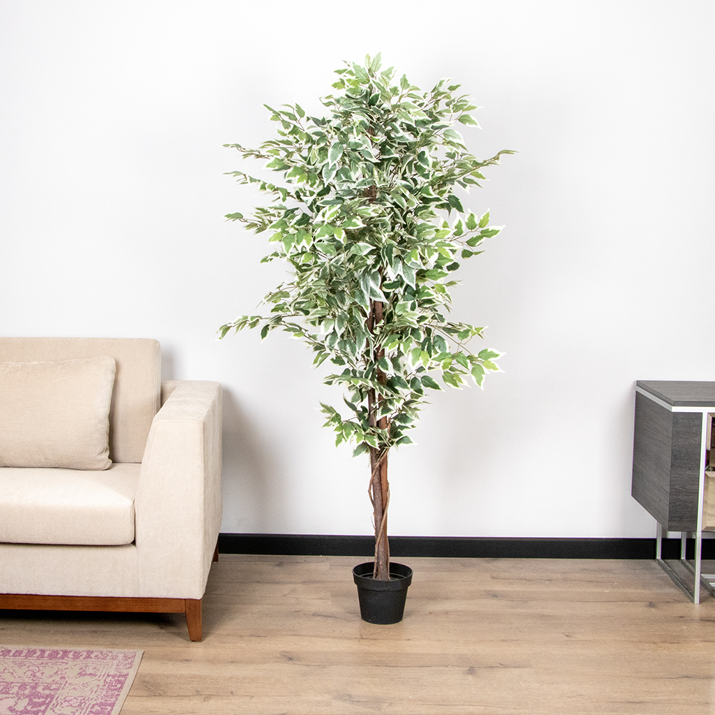 88287 ARTIFICIAL FICUS TREE IN POT 73"H