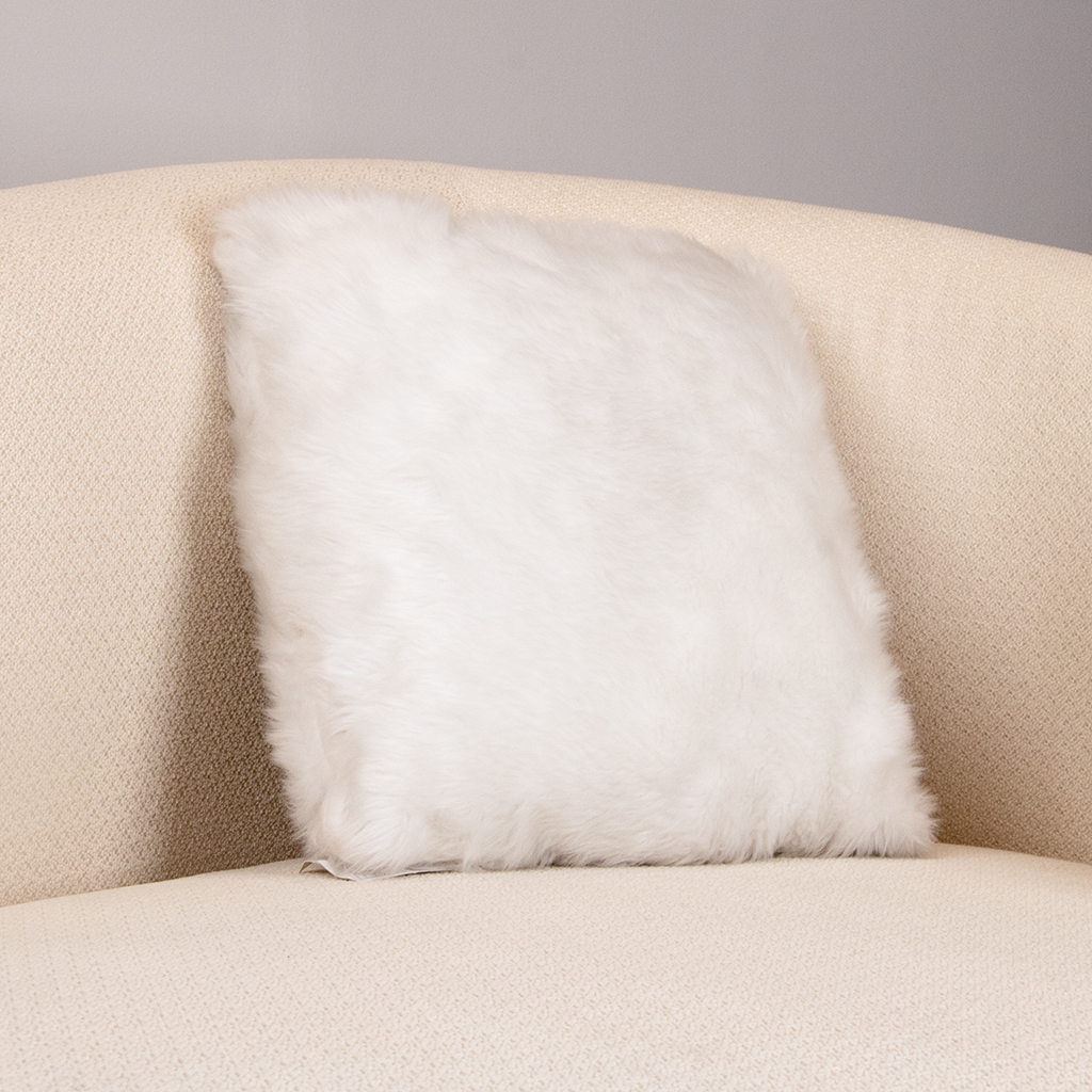 CUSHION-1017150-1007582