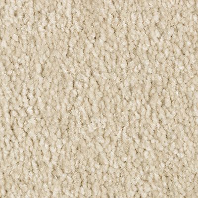 ELEGANT APPEAL III(70OZ) 742 CARPET