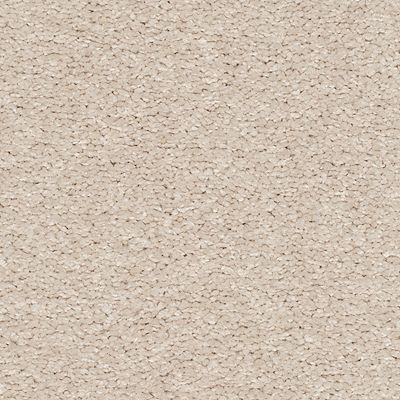 Carpet, Dazzling Statement Carpet 6730