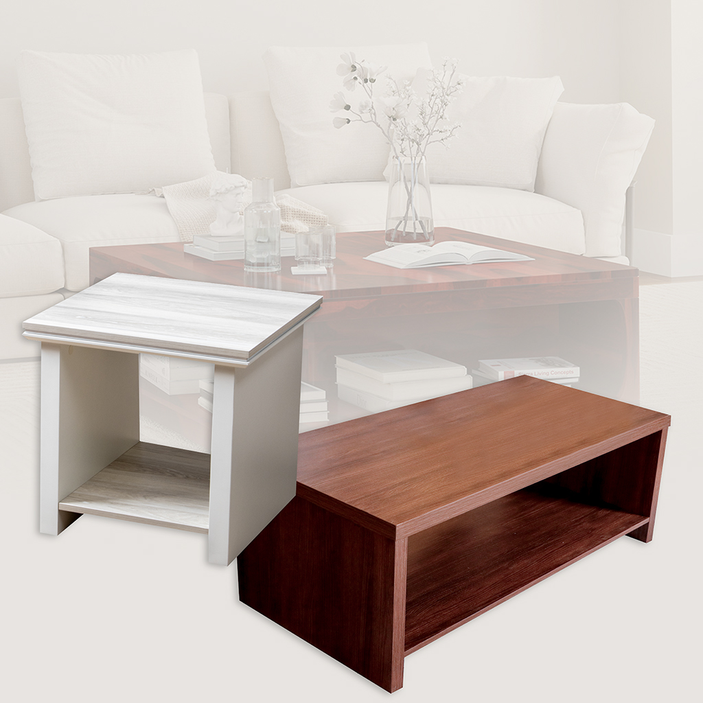 COFFEE TABLE AND SIDE TABLE